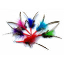 Plumes pour canne Purrs Poursuit- Jouet interchangeable