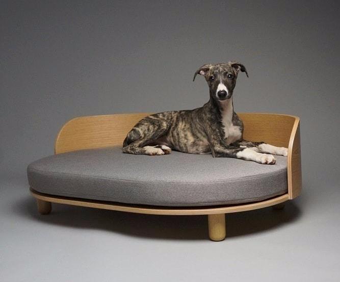 Lévrier sur lit canapé pour chien en bois et coussin gris