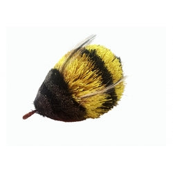 Bumble bee jouet interchangeable pour canne Purrs Poursuit