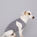 Pull fin pour chien Agnes