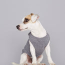 Pull fin pour chien Agnes