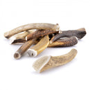 Bois de cerf pour chien entier