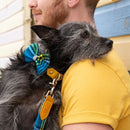 Noeud papillon pour chien Shuka Blue