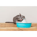 Fontaine à eau Butterfly drinkwell