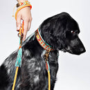 Laisse en corde Dwam (8 couleurs)