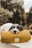 Matelas de voyage pour chien enroulable Compass Band & Roll