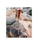 Collier pour chien Escranc