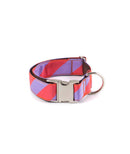 Collier pour chien Sagaro classique et martingale