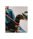 Laisse pour chien Mirallès