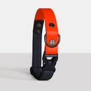 Collier DUO biothane pour chien