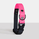 Collier DUO biothane pour chien