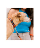 Collier pour chien bohème Batea