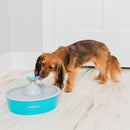 Fontaine à eau Butterfly drinkwell