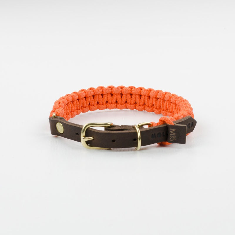 Collier pour chien en corde marine orange