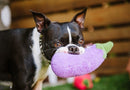 Peluche Aubergine pour chien végétarien - Hariet et Rosie