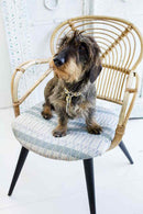 Harnais grill See scout Sleep