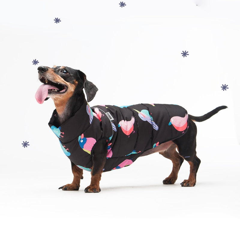 Doudoune pour chiens petits et moyens Woofit Dogwear - Hariet & Rosie