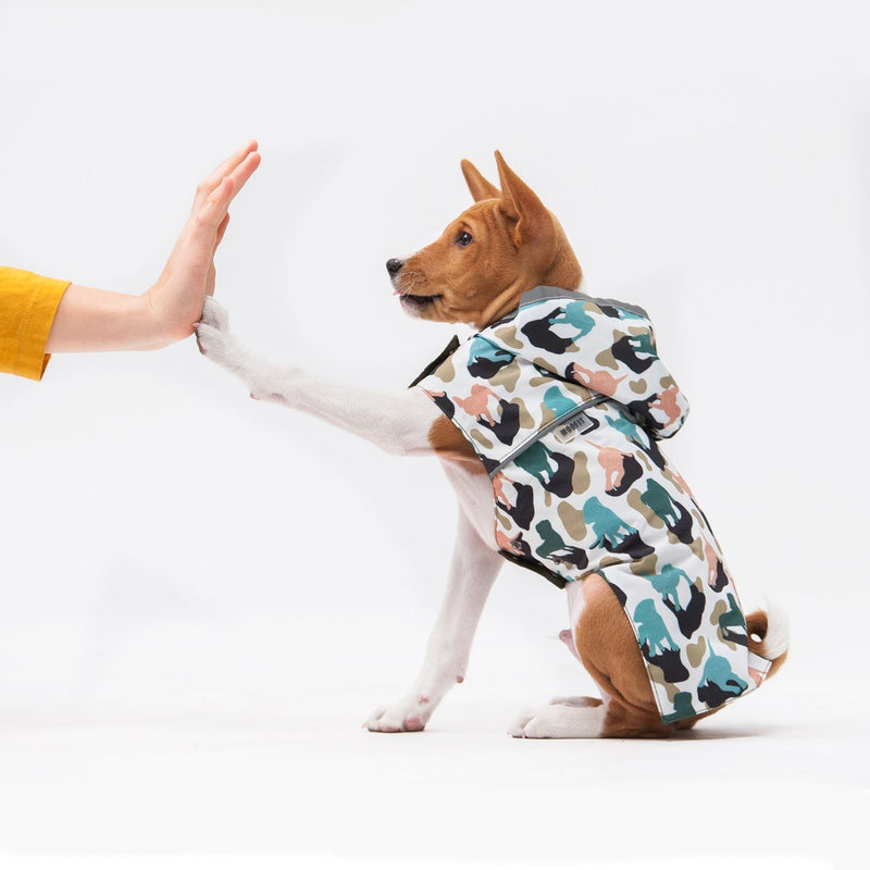 Chiot portant un imperméable pour chien à motifs