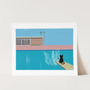 Affiche chat Splash cat