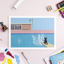 Affiche chat Splash cat