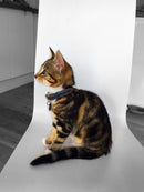 Collier en cuir gris ardoise collection color Pop - Hariet et Rosie