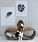 Griffoir pour chat design LUI My Kotty (2 tailles)