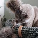 Jouet pour chat Tollo