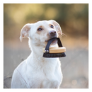 Brosse pour poils courts Lila Loves It