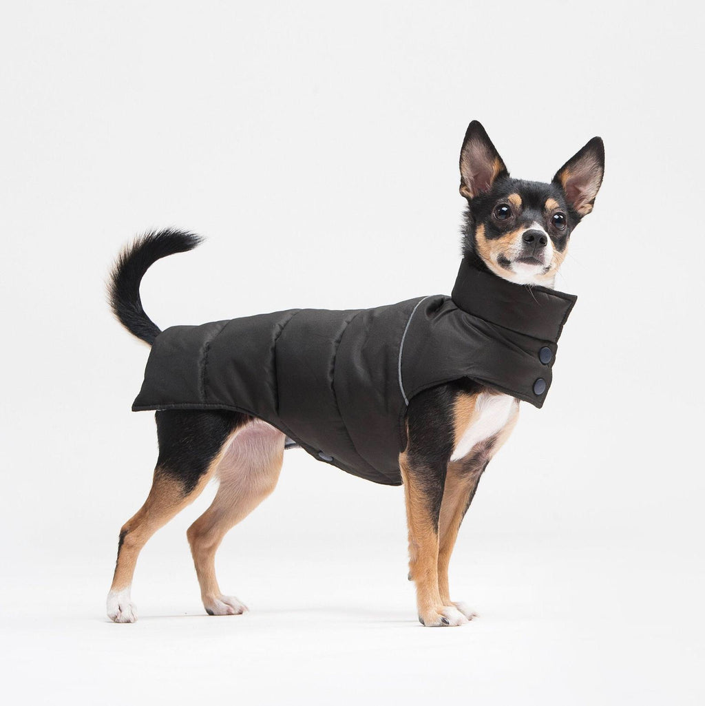 Manteau chaud pour petit chien par Woofit Dogwear - Hariet & Rosie