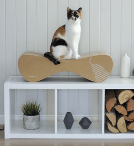 Griffoir design pour chat en carton - VIGO - MY KOTTY