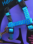 Harnais et Laisse à pois pour chat