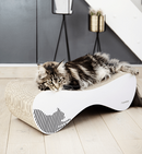 Maine Coon sur un griffoir en carton blanc