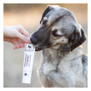 Dentifrice naturel pour chien et chat