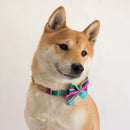 Noeud papillon pour chien Inca blue - Hariet et Rosie