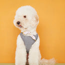 Body pour chien Josef