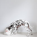 Dalmatien mettant sa tête dans un tote bab blanc en lin