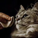 Lotion nettoyante chiens et chats