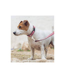 Ensemble Collier + laisse Maian - Hariet et Rosie