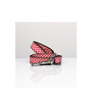 Laisse pour chien Maians