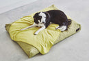 Coussin pour chien Divo