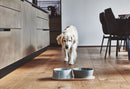 Ensemble de bols design pour chien Doppio