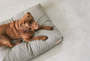 Coussin pour chien orthopédique Mare