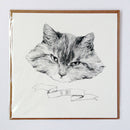 Carte postale chat grincheux « grumpy cat » - Hariet et Rosie