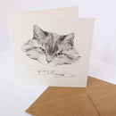 Carte postale chat grincheux « grumpy cat » - Hariet et Rosie