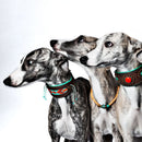 Collier en cuir Paddy Lee Dwam