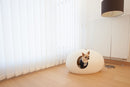 Chihuahua dans la niche pour chat blanche sur du parquet