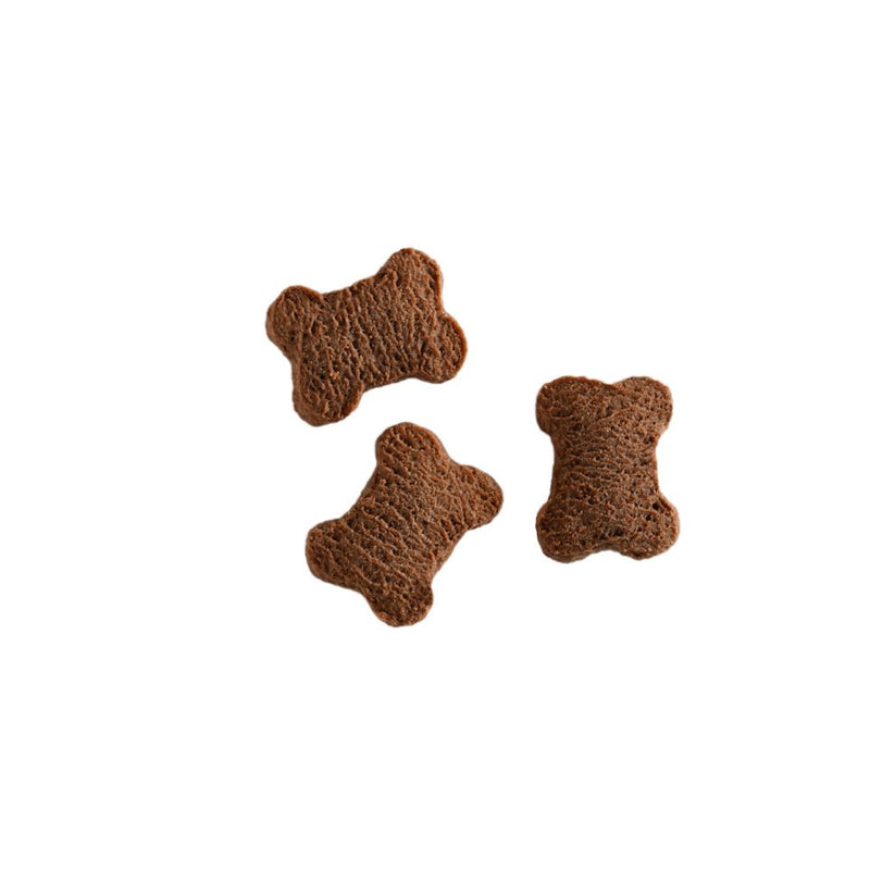 Petits biscuits pour petits chiens Puppy Bone