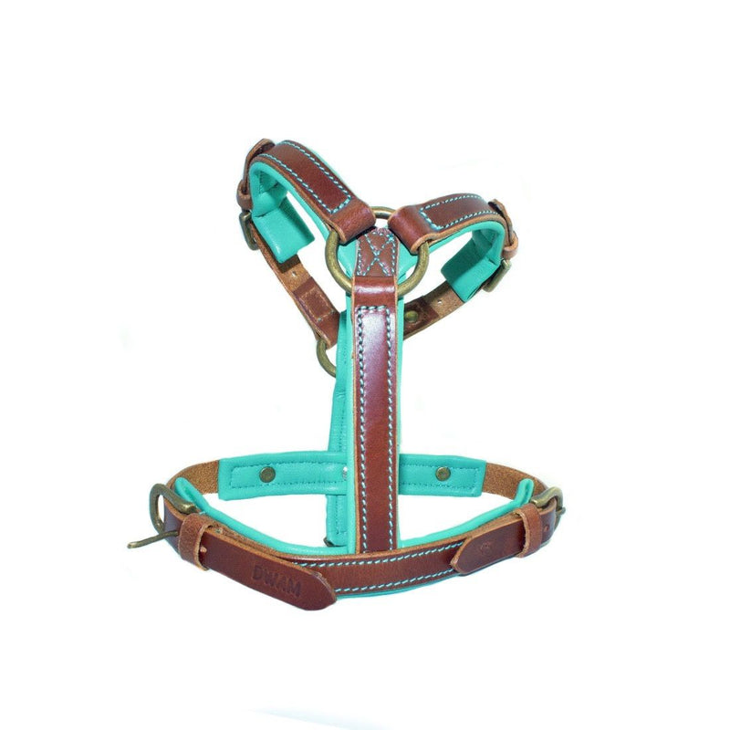 Harnais équitation Cuir Neuf Leaders Harnais De Conduite En Cuir Harnais équitation Cuir Neuf Leaders Harnais De Conduite En Cuir