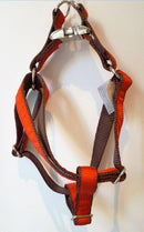 Harnais parachute solid red