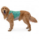 Gilet rafraichissant pour chien Ruffwear Swamp Cooler